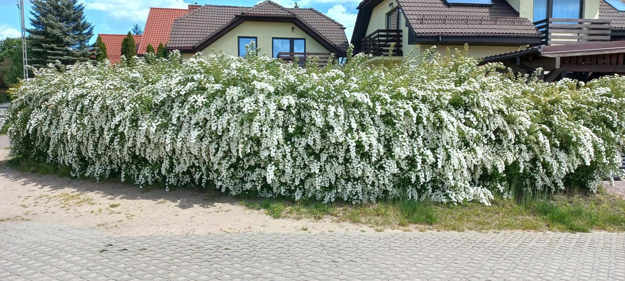 Apartament Sloneczny, Gdansk